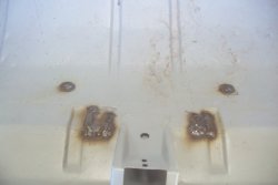 131101 67 Chevy Impala (8).JPG